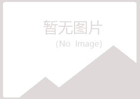 梅州梅江夏槐采矿有限公司